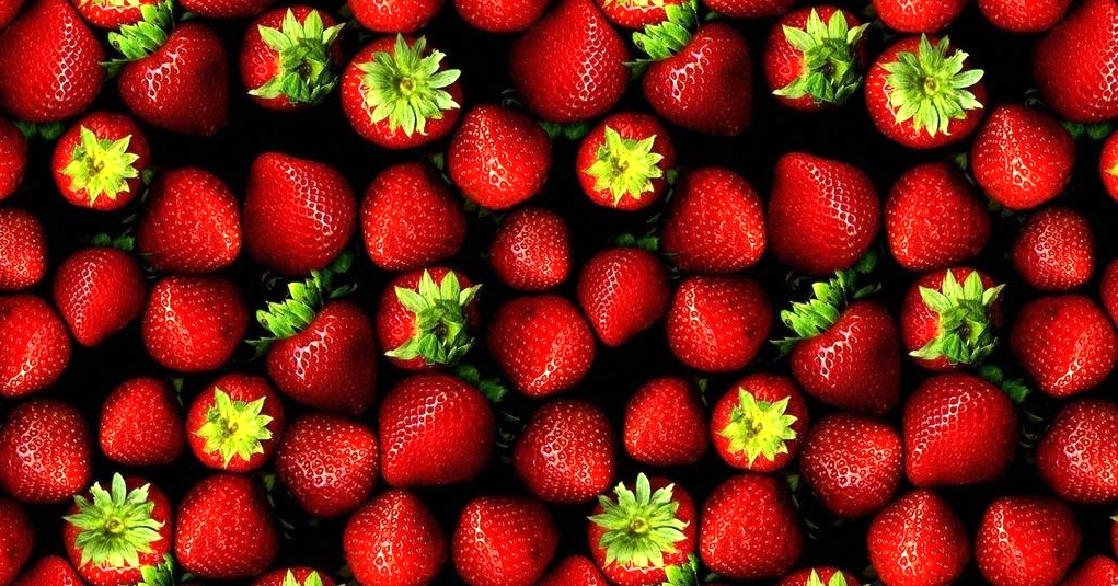 草莓鲜果预冷保鲜流程