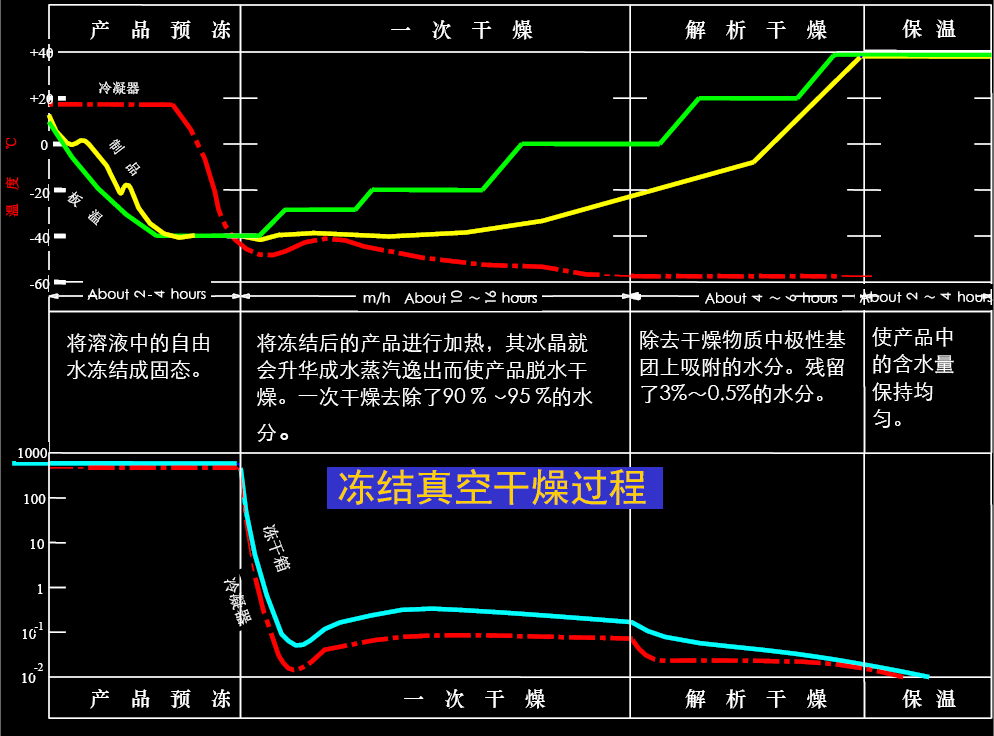 真空冷冻干燥工艺