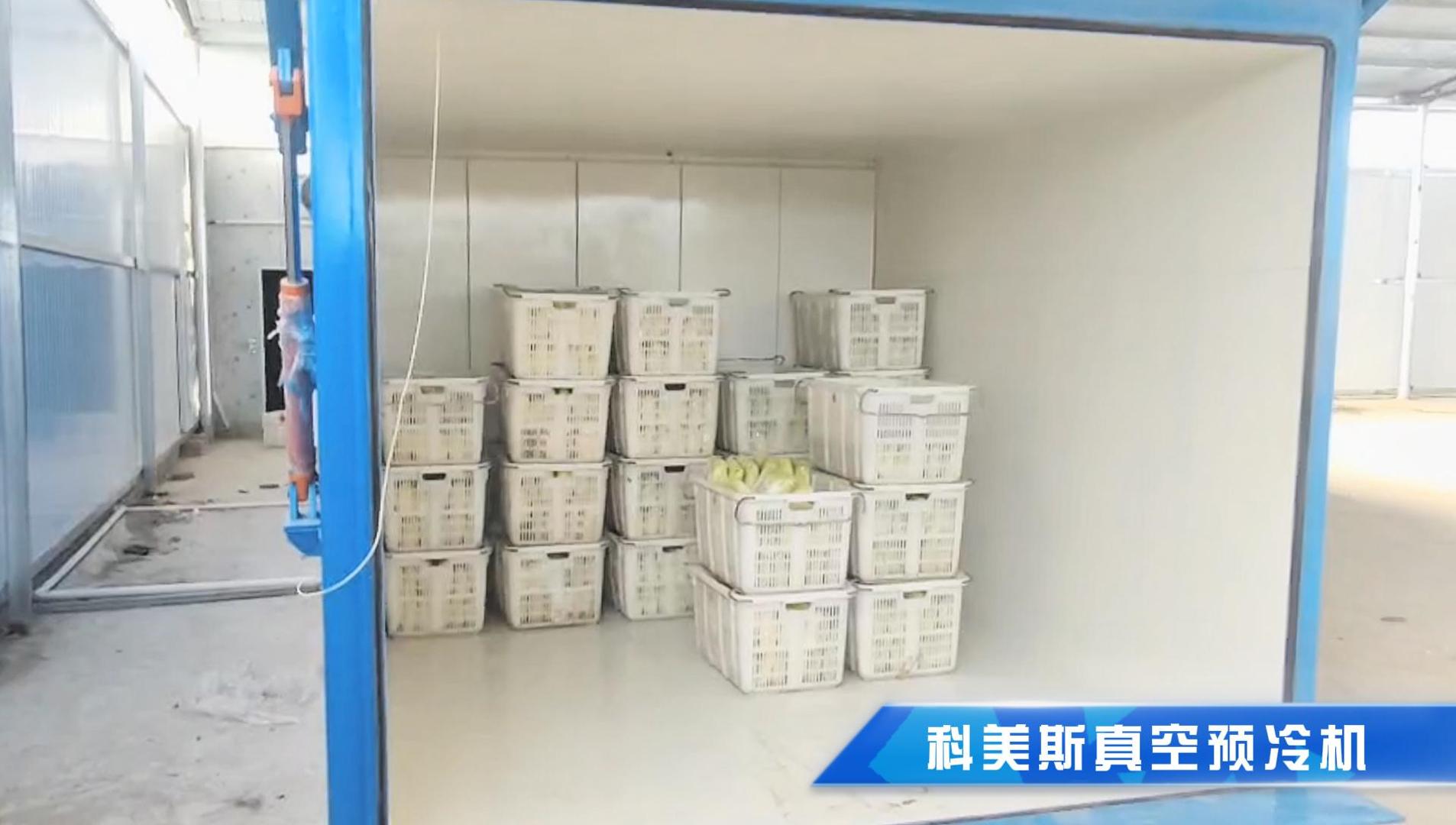 河南客户6卡板真空预冷机出货