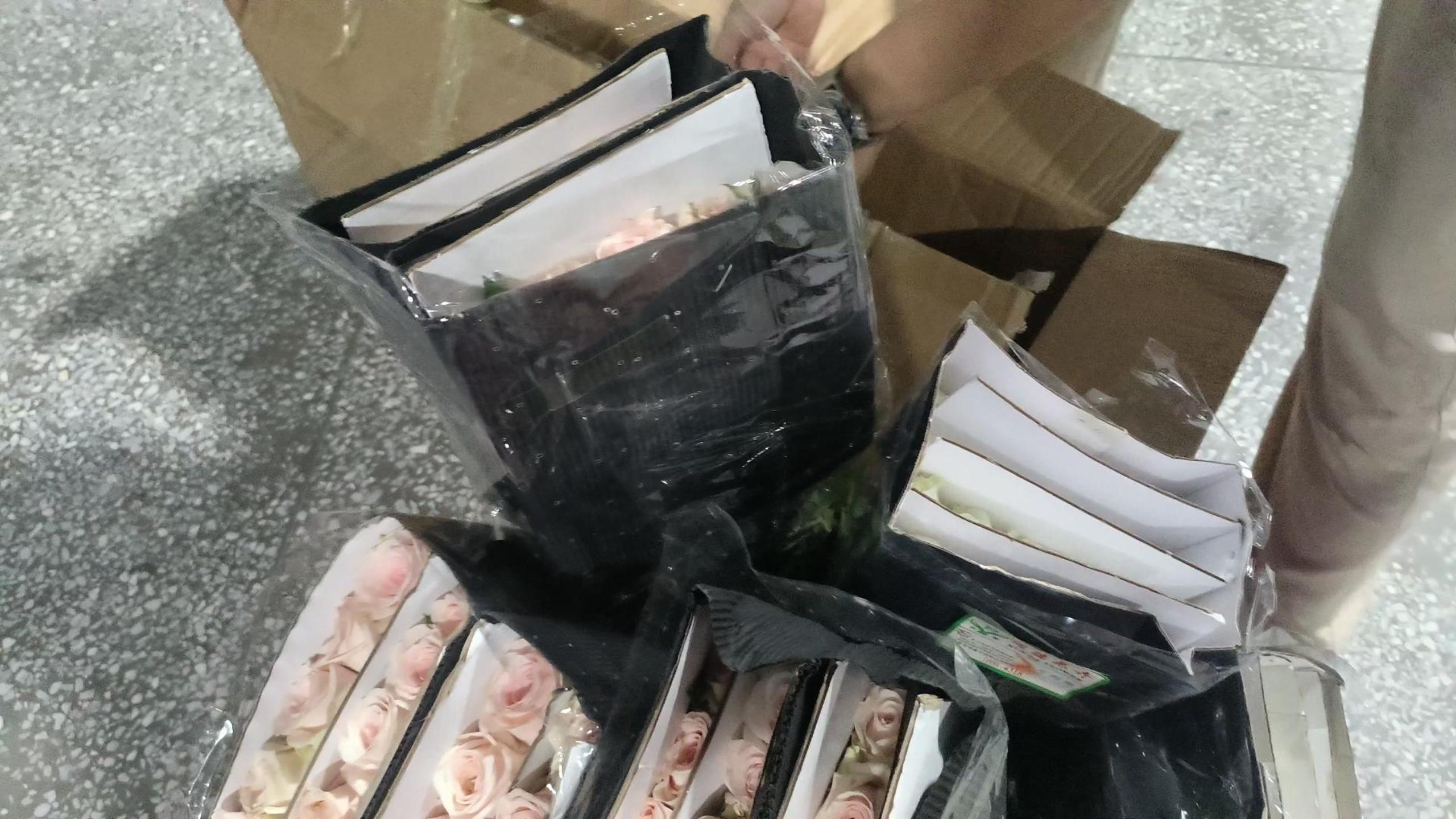 如何选择优质真空预冷机